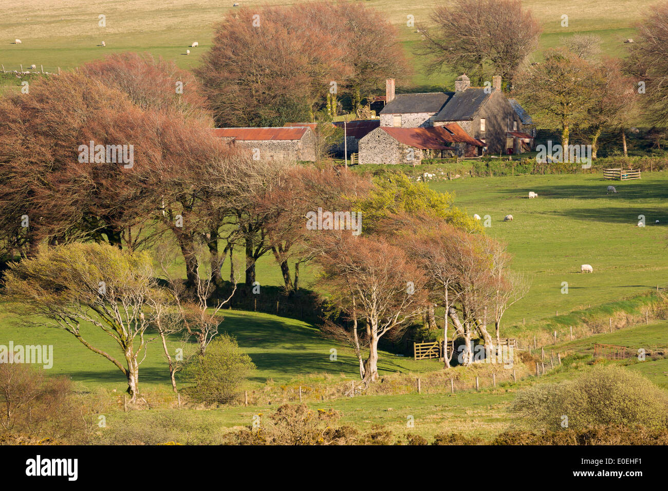 Verlassenen Bauernhaus Dartmoor Nationalpark Devon Uk Stockfoto