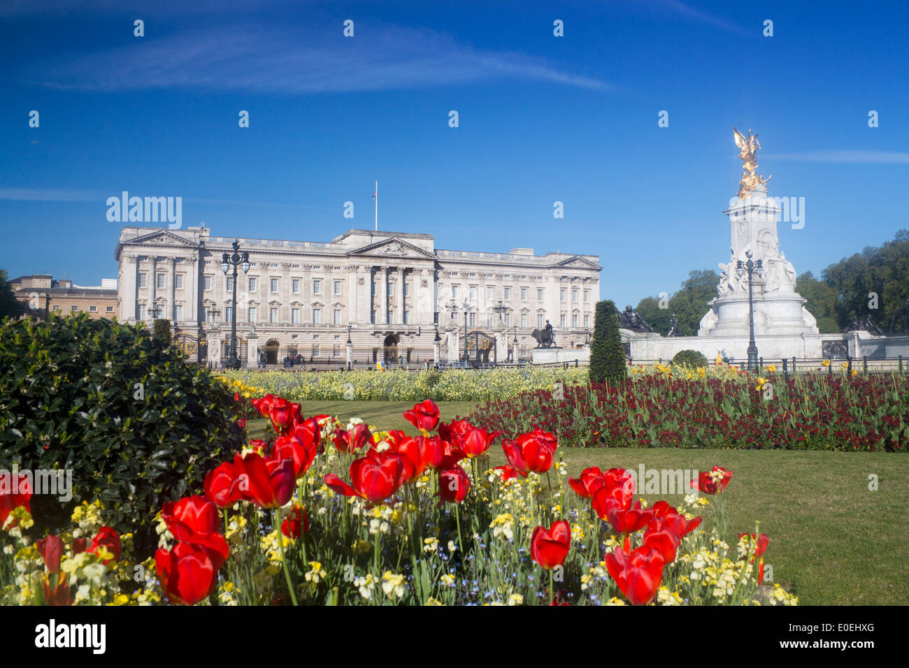 Buckingham Palace im Frühjahr mit Tulpen und Blumen im Vordergrund London England UK Stockfoto