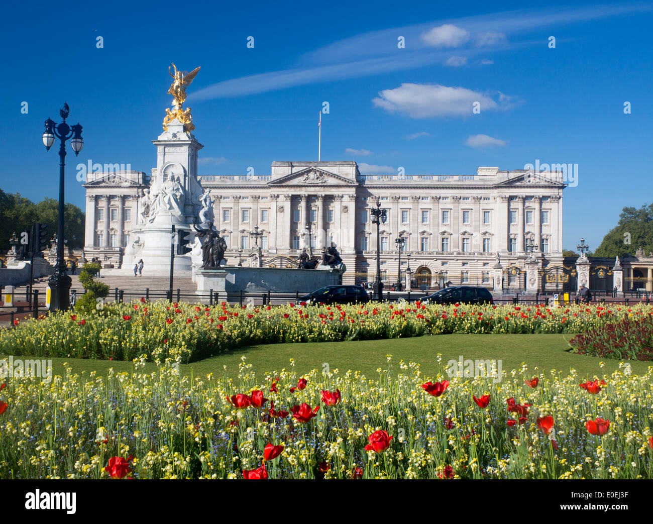Buckingham Palace im Frühjahr mit Tulpen und Blumen im Vordergrund Victoria Memorial auf linken Seite des Rahmens London England UK Stockfoto