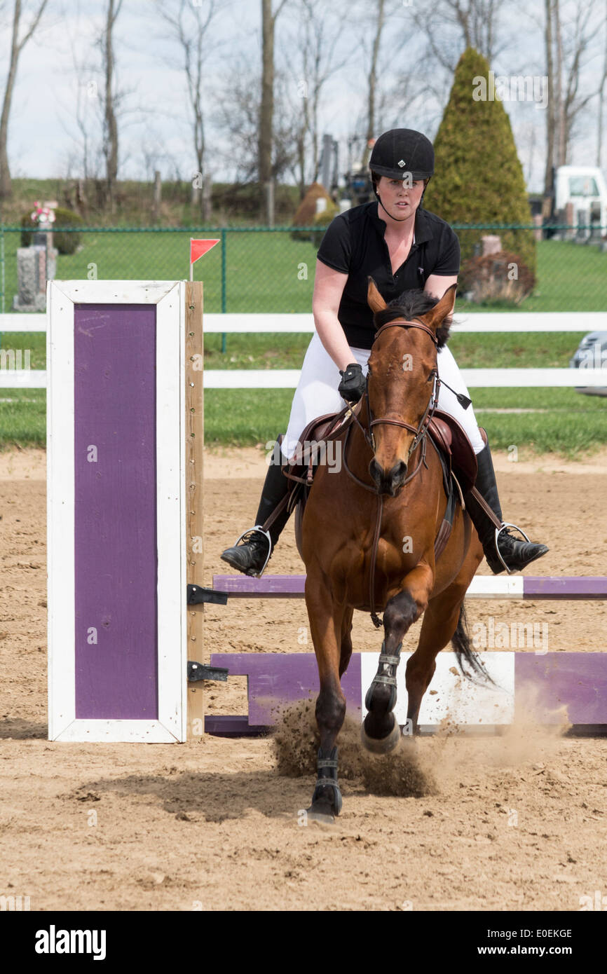 Frau Bucht Reitpferd über Sprung bei lokalen Schule Horse Show. Stockfoto