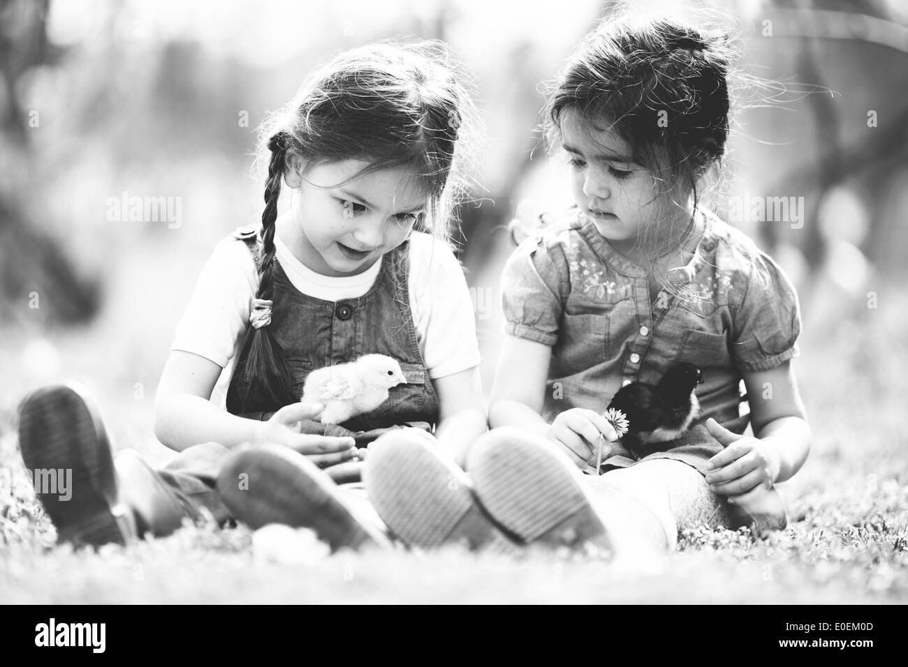 Zwei kleine Mädchen mit Hühnern Stockfoto