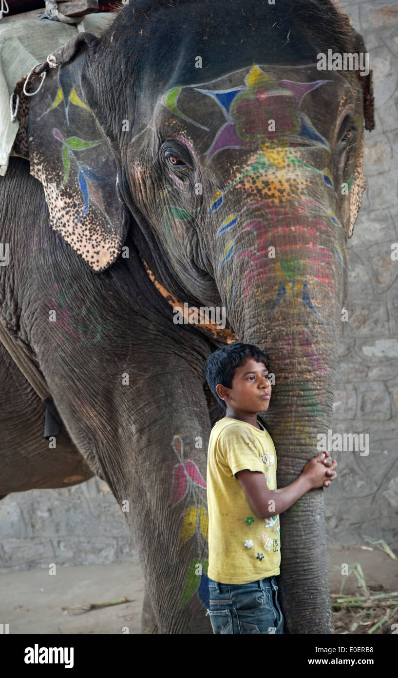 Elefantenbulle -Fotos und -Bildmaterial in hoher Auflösung – Alamy