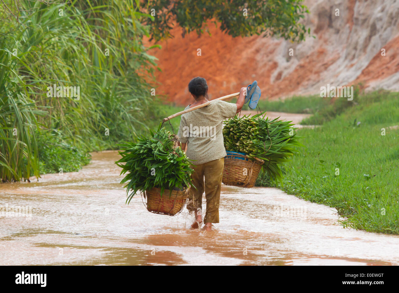 MUI NE VIETNAM 26. Juli 2012 - A vietnamesische Bauer (Frau) ihre waren aus der Wildnis. Landwirtschaft ist essentiell für das Überleben einer Stockfoto