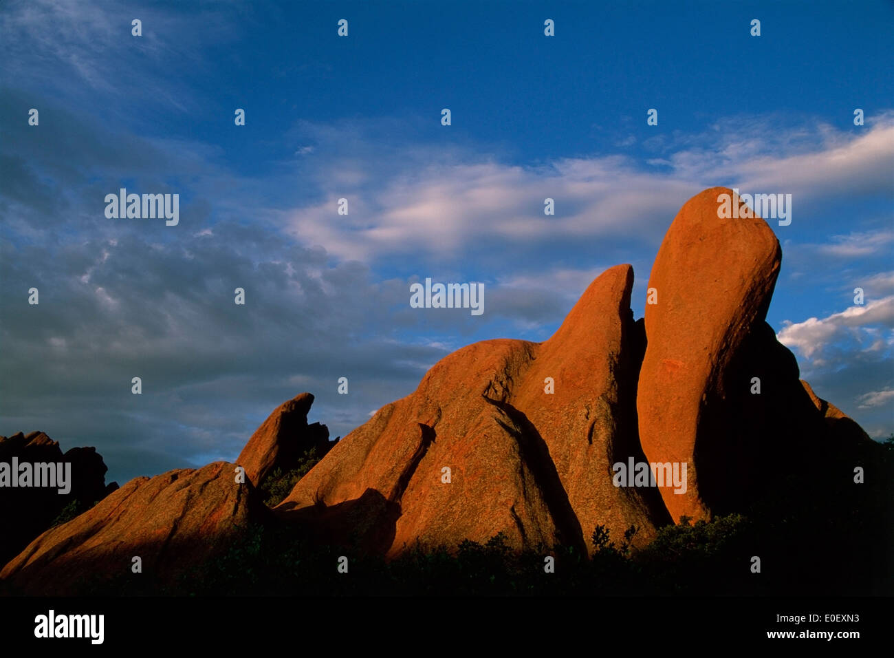 Rote Felsen ragt, Morgen, Roxborough State Park, Colorado USA Stockfoto