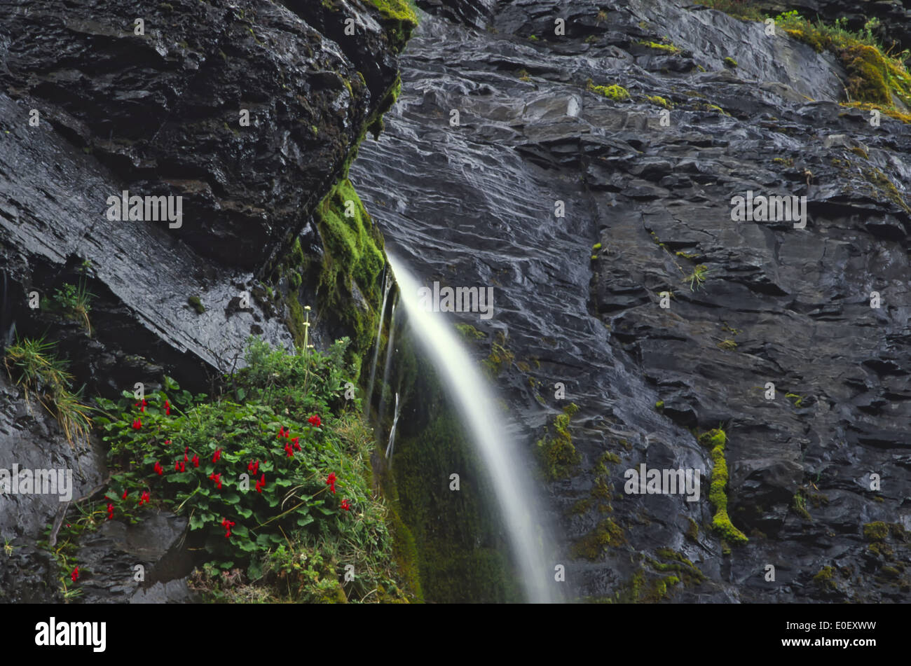 Wasserfälle in der Nähe von Refugio Chileno, Torres del Paine Nationalpark, Chile Stockfoto