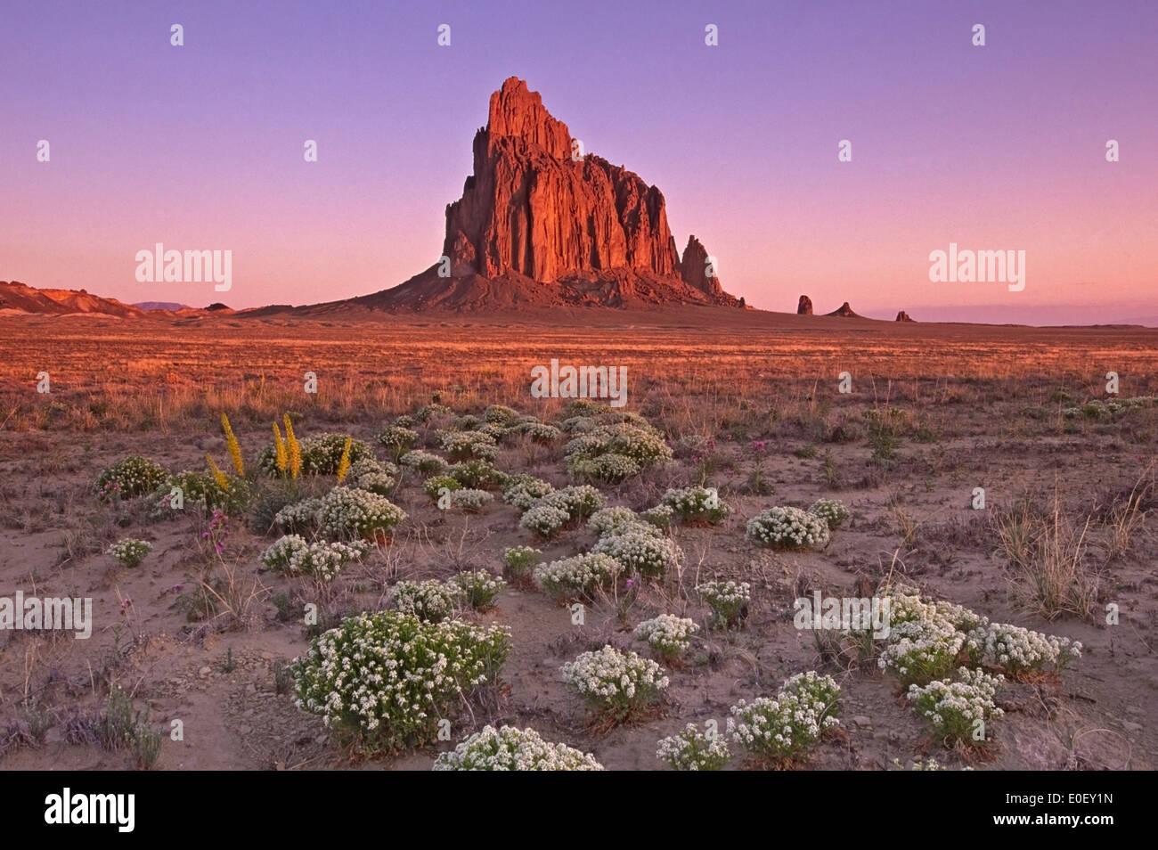 Wildblumen und Shiprock, New Mexico, Vereinigte Staaten Stockfoto