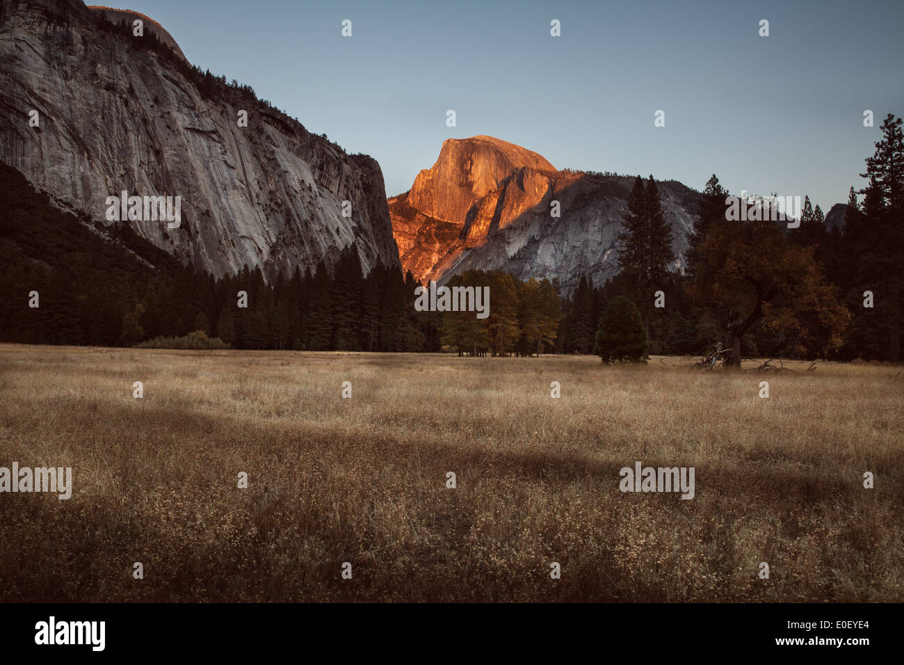 Half Dome bei Sonnenuntergang vom Feld im Yosemite National Park Stockfoto