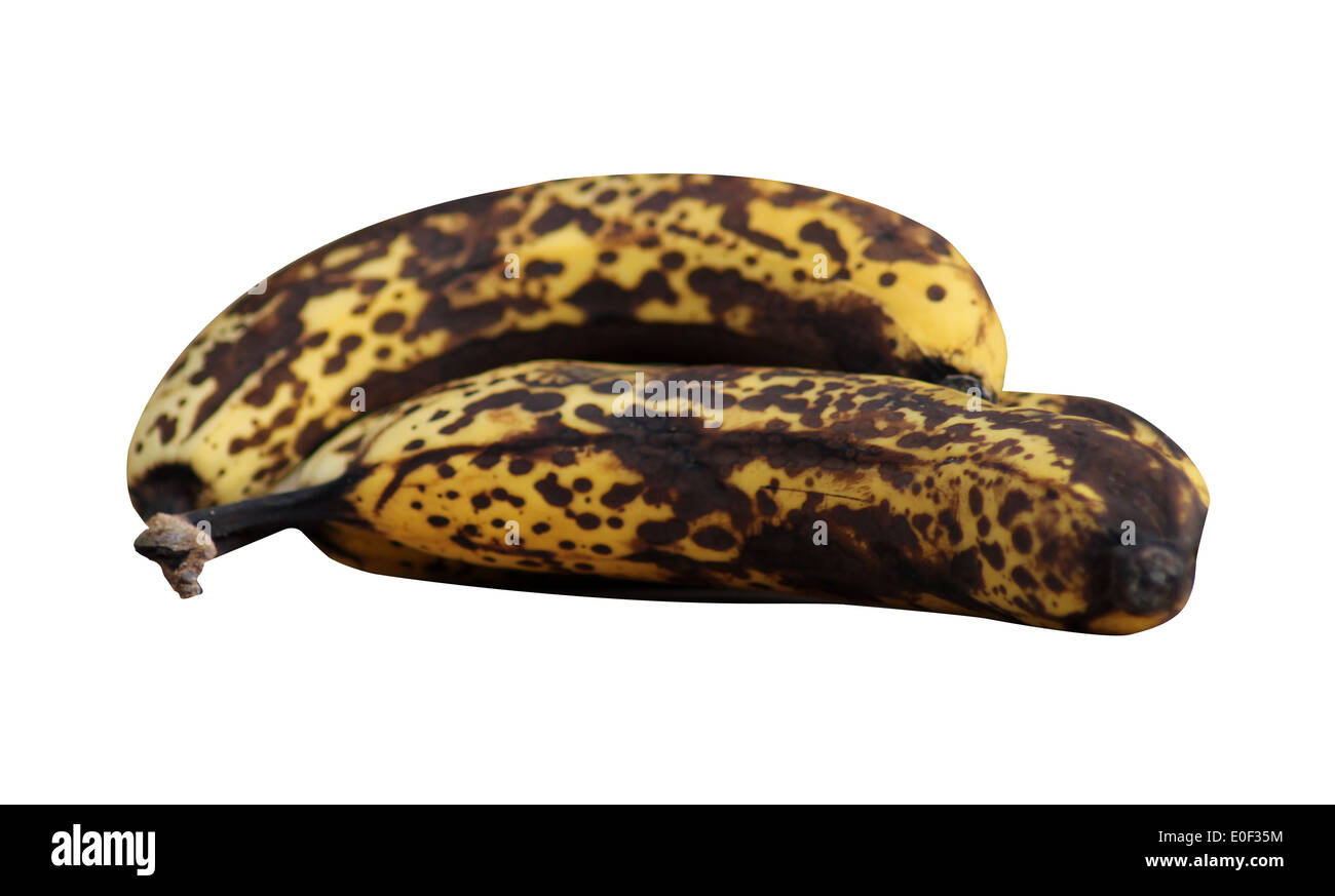 Reife Bananen isoliert auf weißem Hintergrund mit Beschneidungspfad. Stockfoto