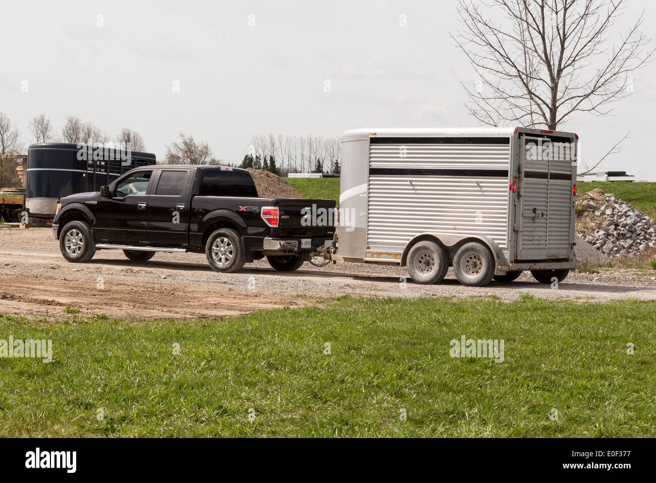 Ford F150 Pick-up LKW ziehen graue Lager Pferdeanhänger Stockfoto
