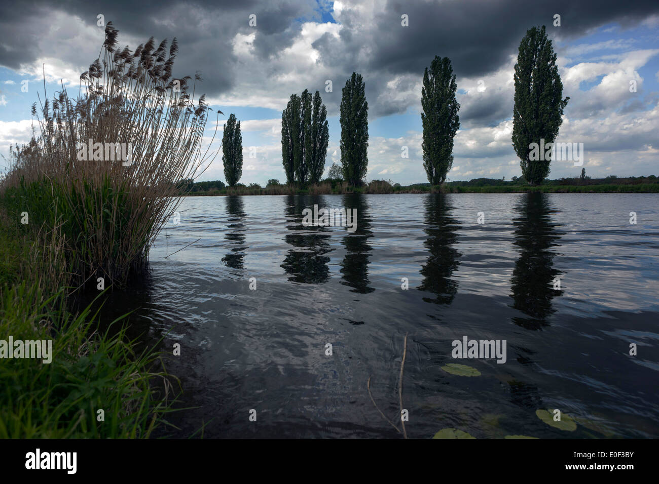 Der Fluss Elbe-Landschaft Stockfoto