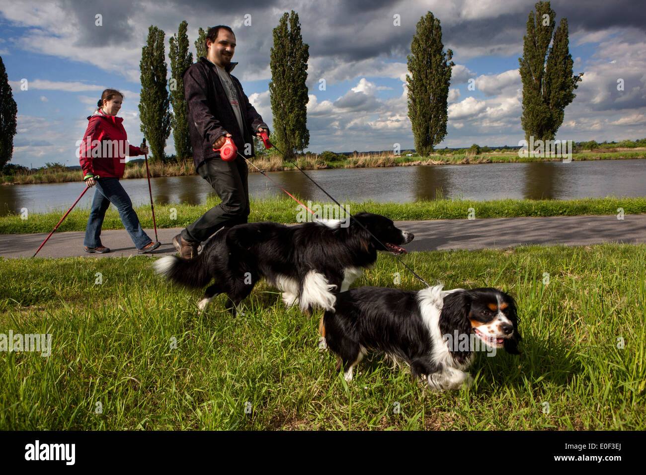Menschen auf einem Spaziergang mit Hunden entlang der Elbe Tschechien Stockfoto
