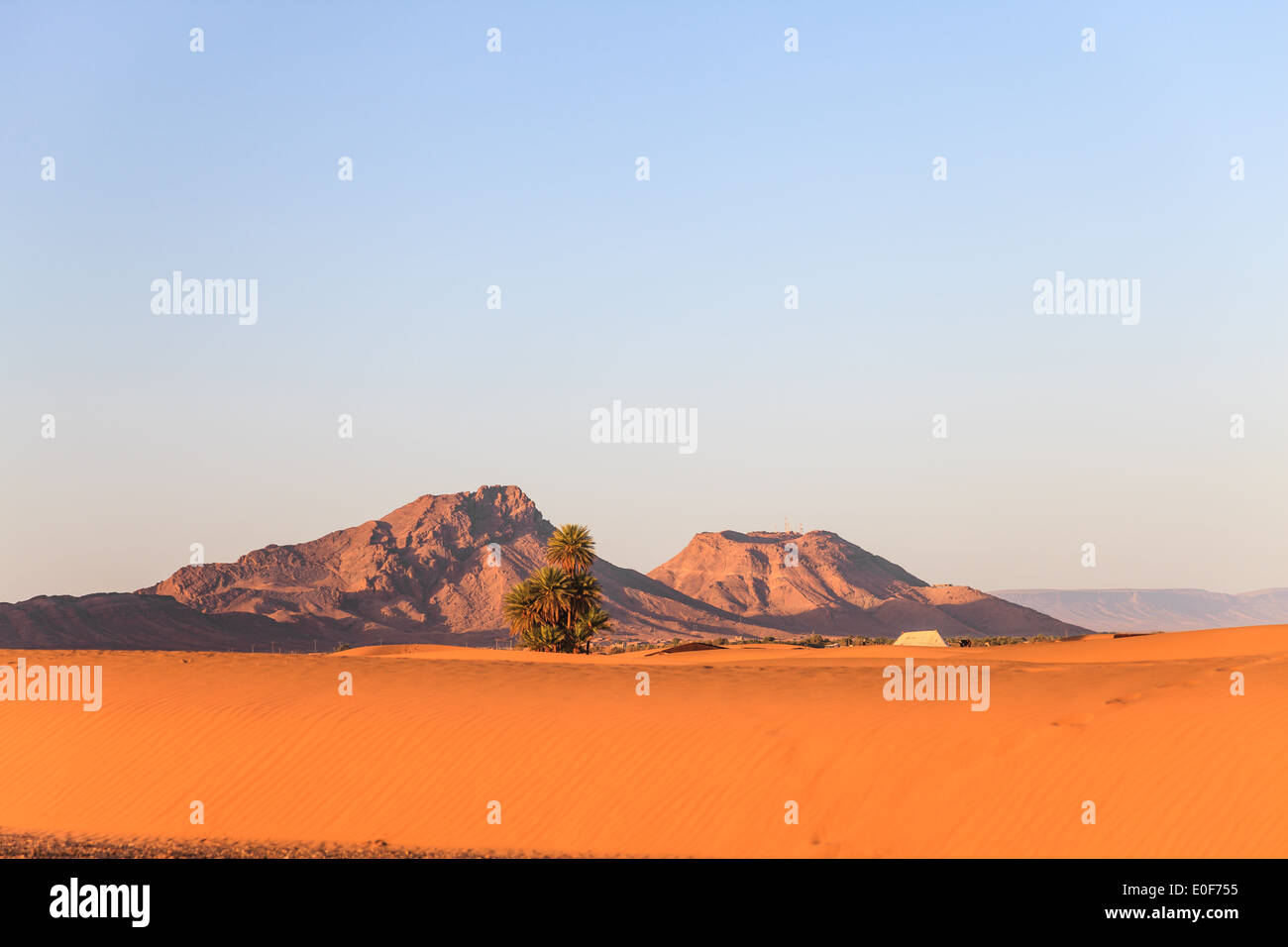 Sahara-Wüste im Morgenlicht, Marokko Stockfoto