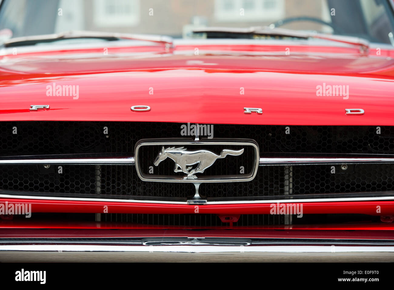 Ford Mustang Pferd Logo auf dem Kühlergrill des klassischen amerikanischen  Auto Stockfotografie - Alamy