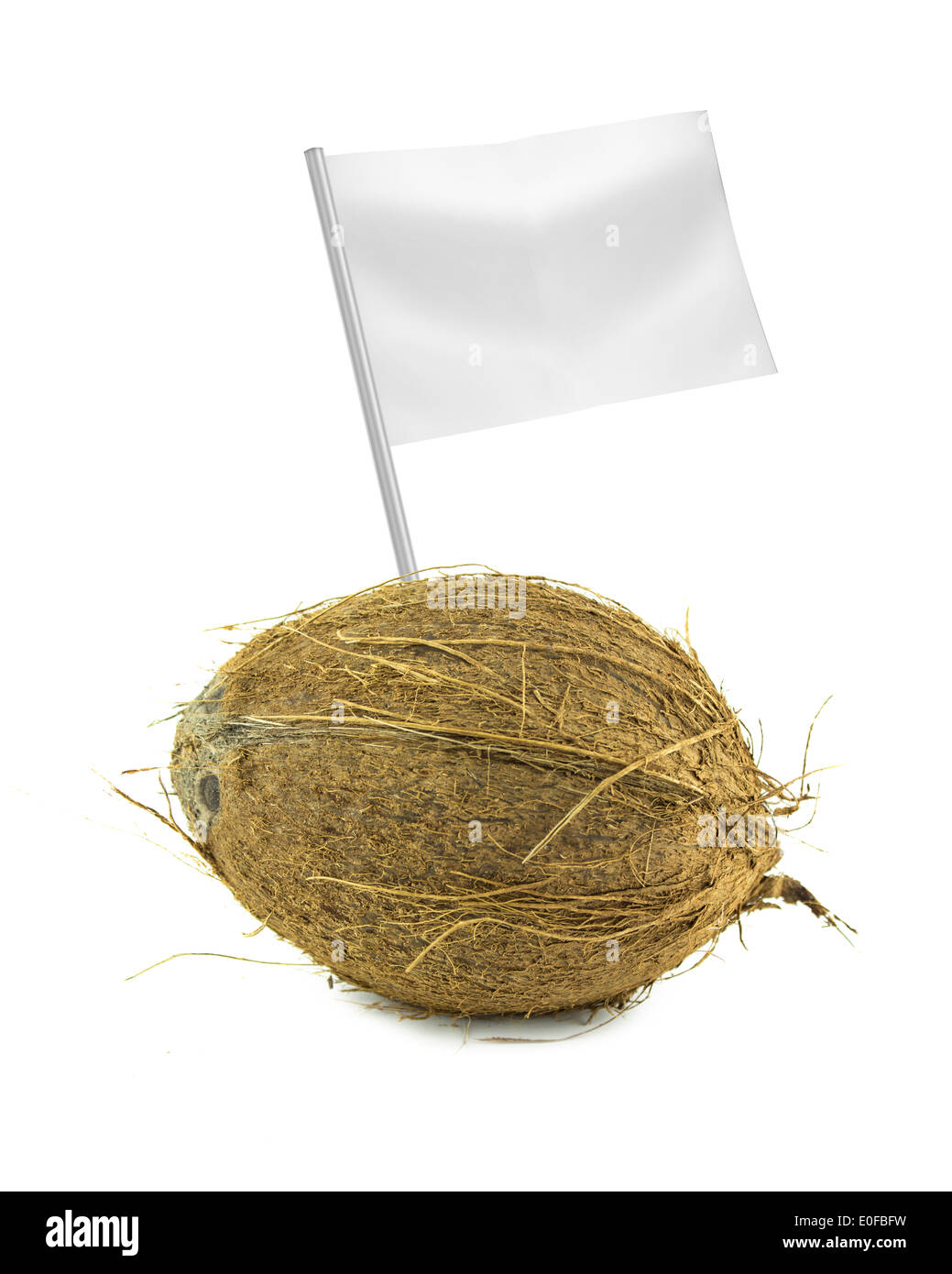 Gesund und Bio-Lebensmittel-Konzept. Frische Kokosnuss mit Flagge zeigt den nutzen oder den Preis der Früchte. Stockfoto