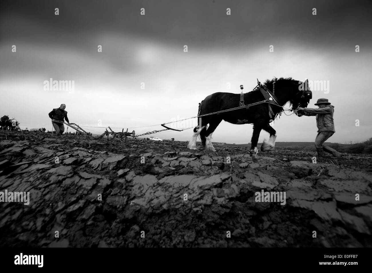Denkmal zu pflügen übereinstimmen, 2014, Shorwell, Isle Of Wight, England, UK, © Patrick Eden Fotografie 2014 Stockfoto