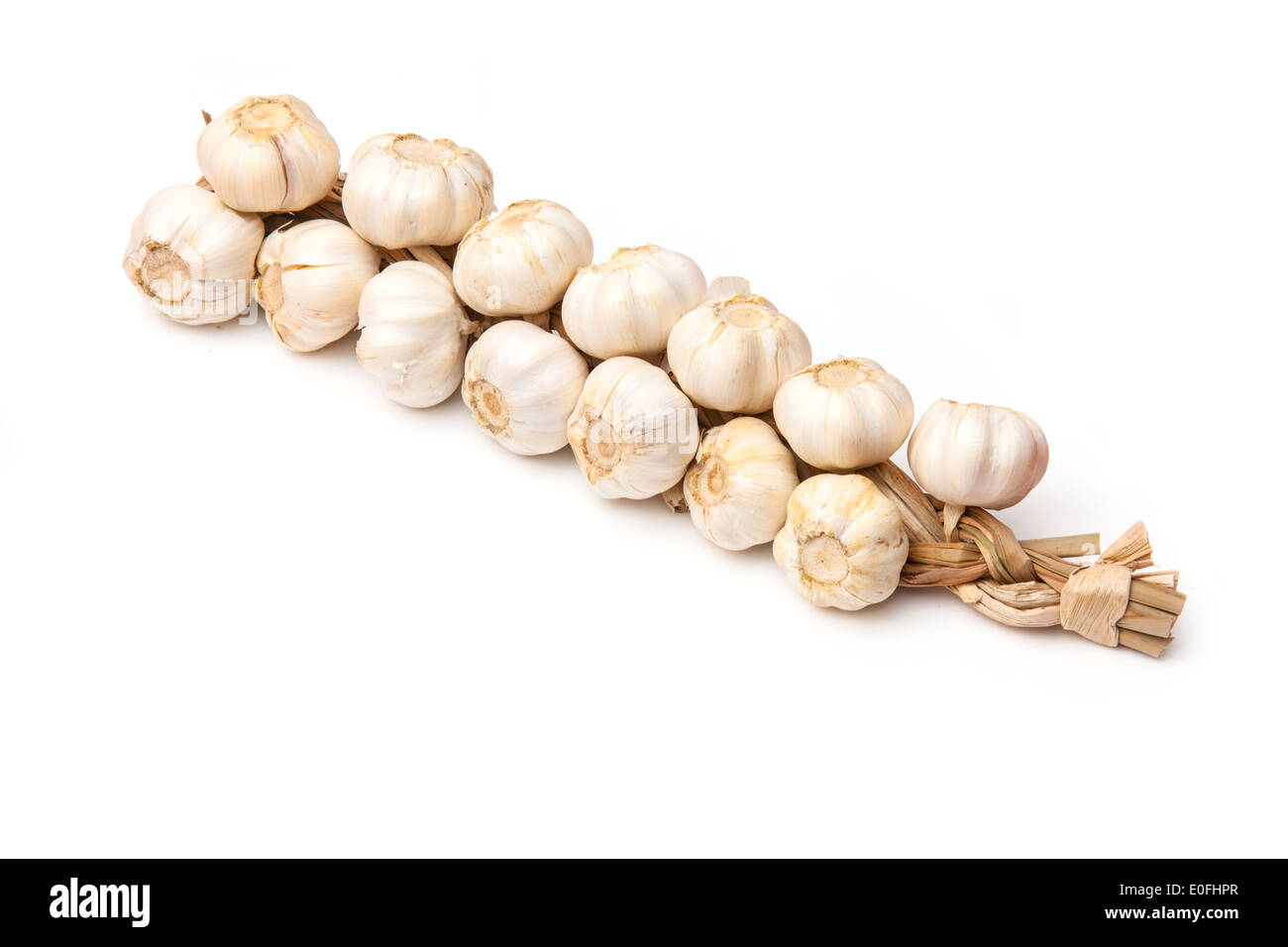 Reihe von Knoblauch Zwiebeln isoliert auf einem weißen Studio-Hintergrund. Stockfoto