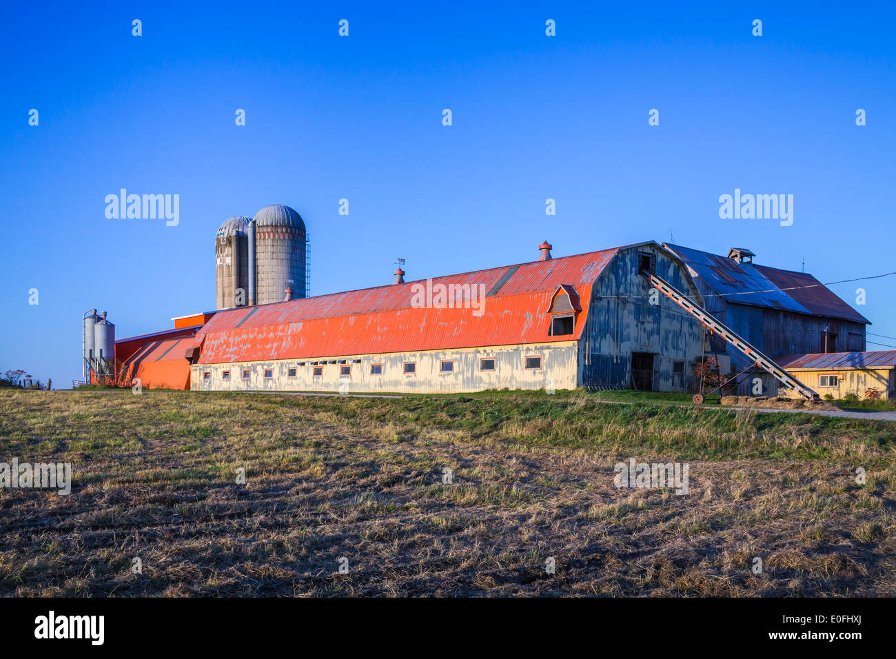 Eine große rote Scheune in der Nähe von East Angus, Quebec, Kanada. Stockfoto