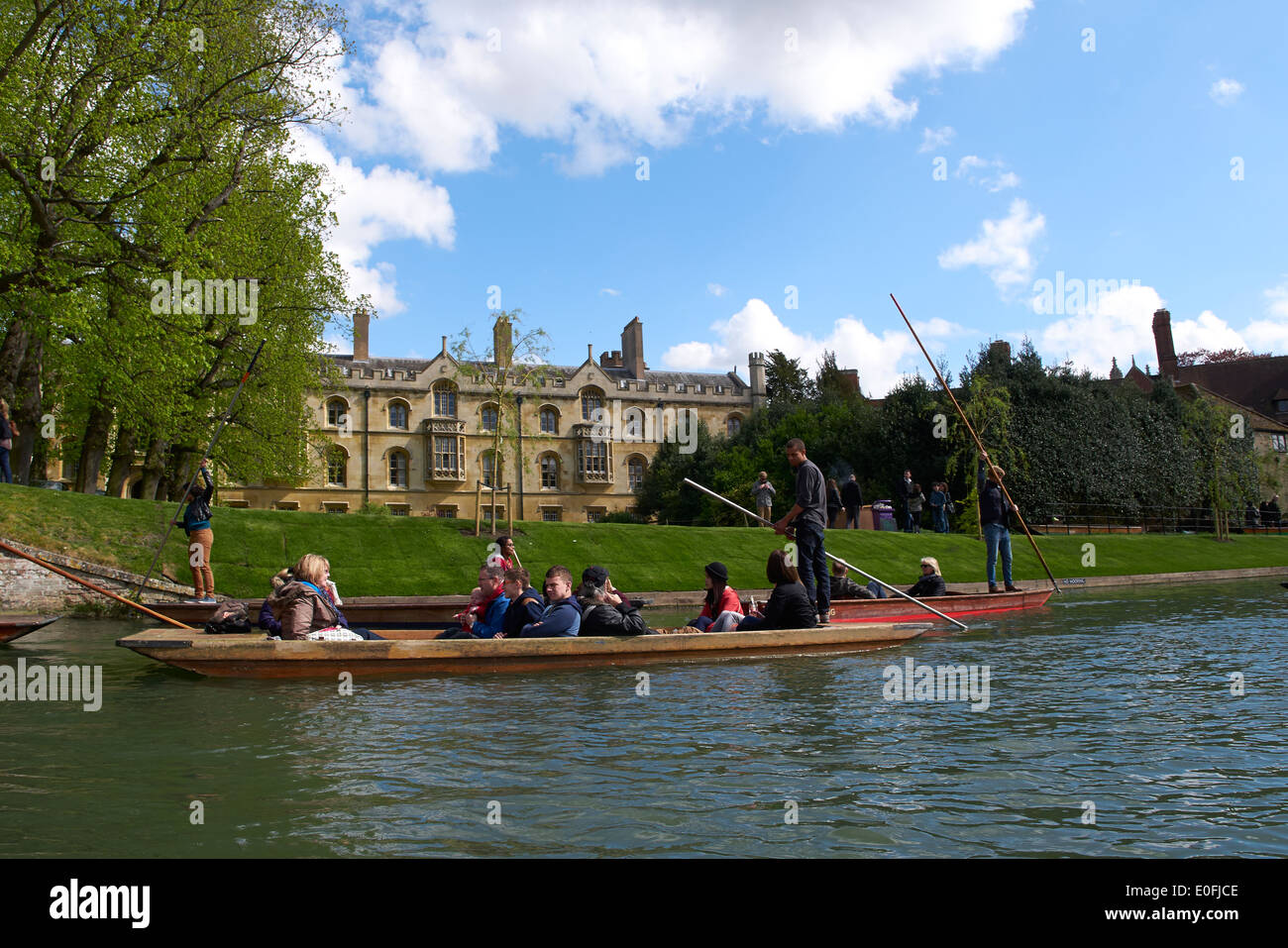 Punting auf dem Fluss Cam, Cambridge, Großbritannien Stockfoto