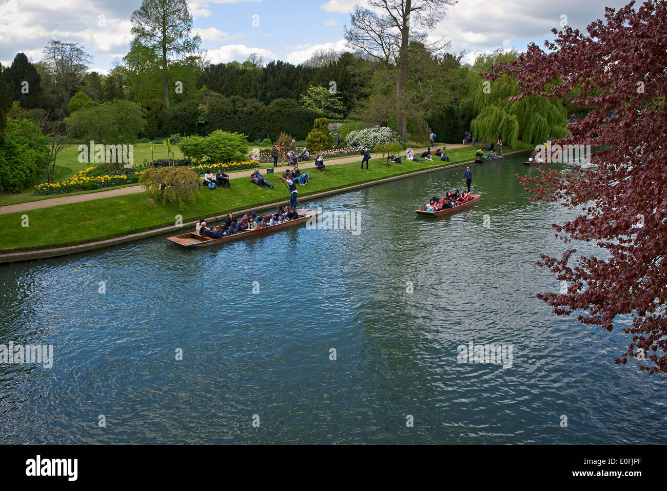 Bootfahren auf dem Fluss Cam, Cambridge, Aufnahme von Clare College Brücke Stockfoto