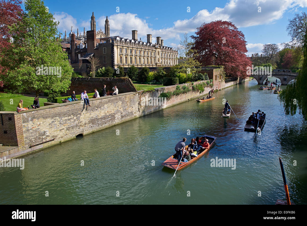 Frühling Punting auf dem Fluss Cam, Clare College auf der linken Seite. Cambridge, UK Stockfoto