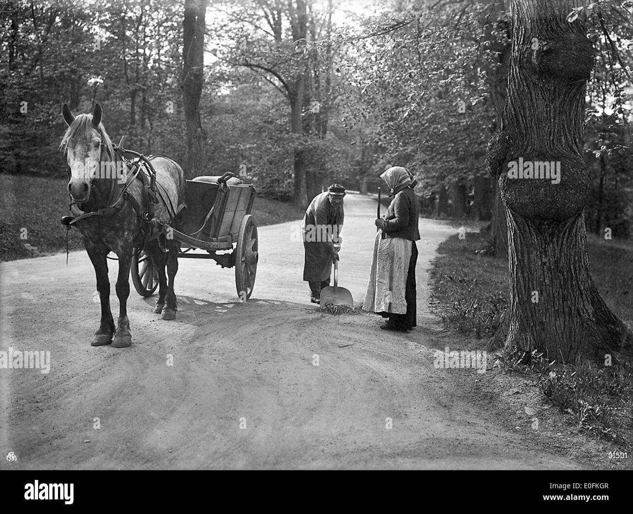 Bereinigen von einem Straßenrand, Schweden Stockfoto