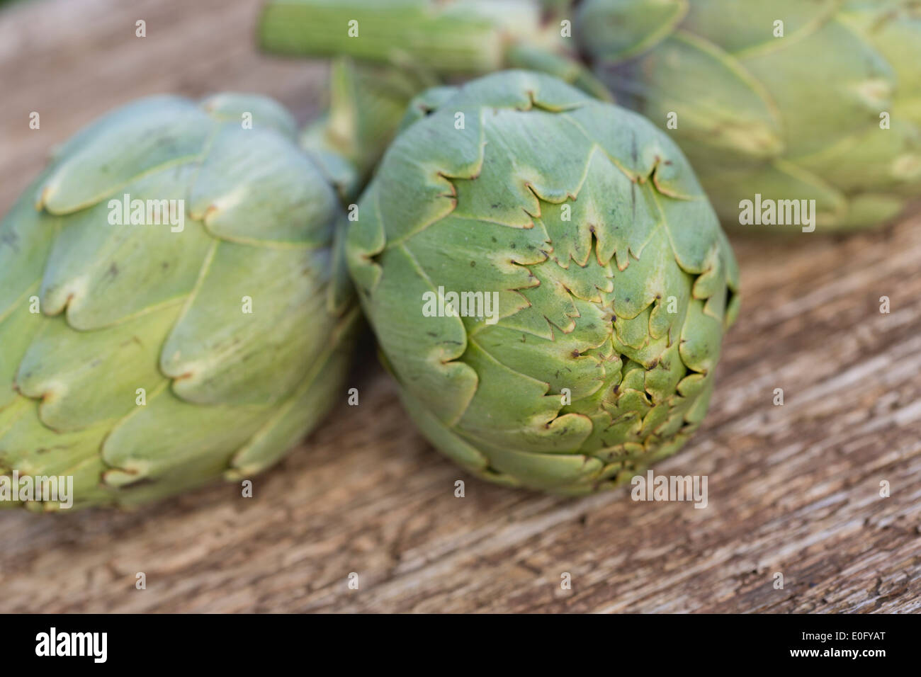 Ganz rohen Artischocken auf rustikalen Holztisch Stockfoto