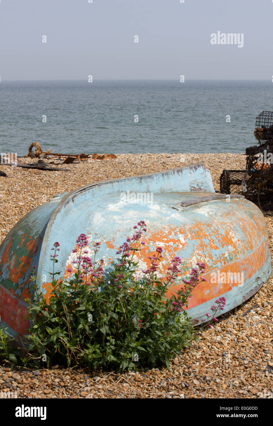 Umgedrehten Boot auf ein geschichtetes Strand mit einer blühenden Pflanze in den Vordergrund, Meer und Hummer Feldern im Hintergrund Stockfoto