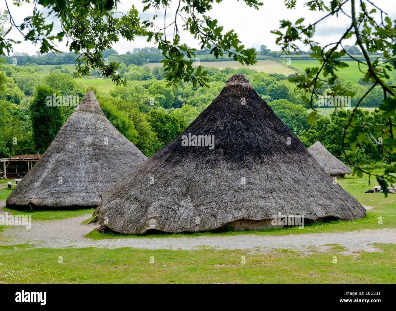 Castell Henllys Eisenzeit Dorf Wiederaufbau im Pembrokeshire Wales Stockfoto