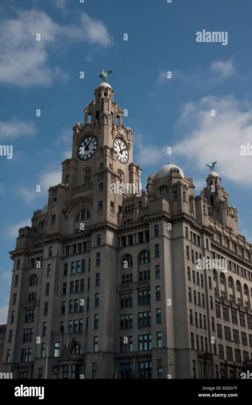 Royal Liver Building Liverpool Stockfoto