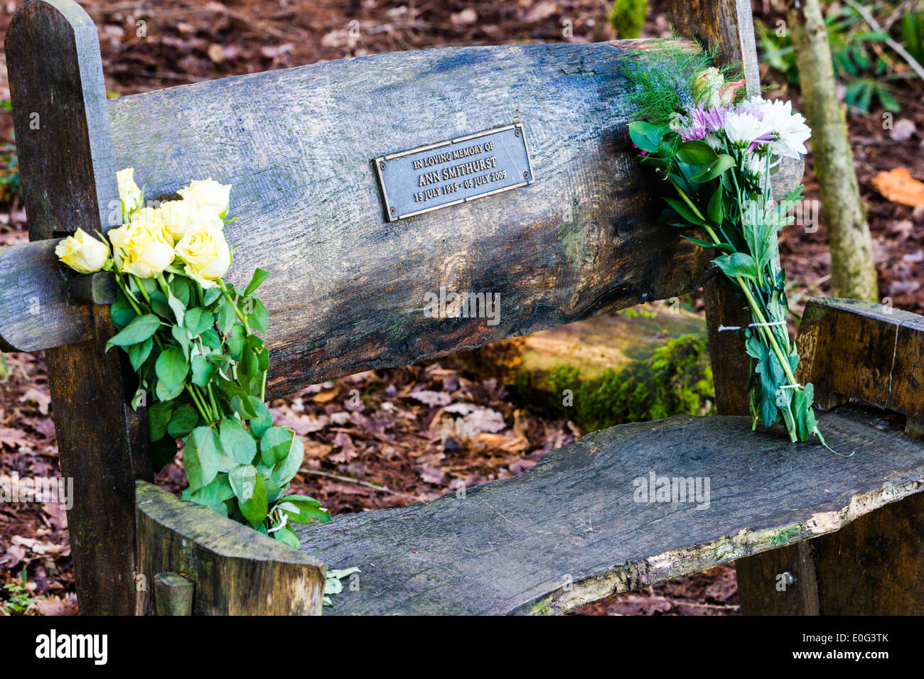 Denkmal-Bank im Jubilee Holz, Charnwood Forest, Leicestershire Stockfoto