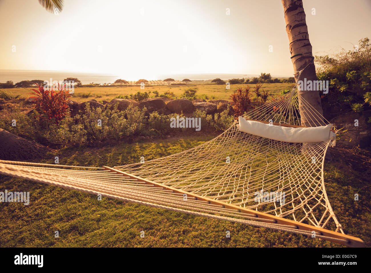 Hängematte mit Palmen bei Sonnenuntergang Stockfoto