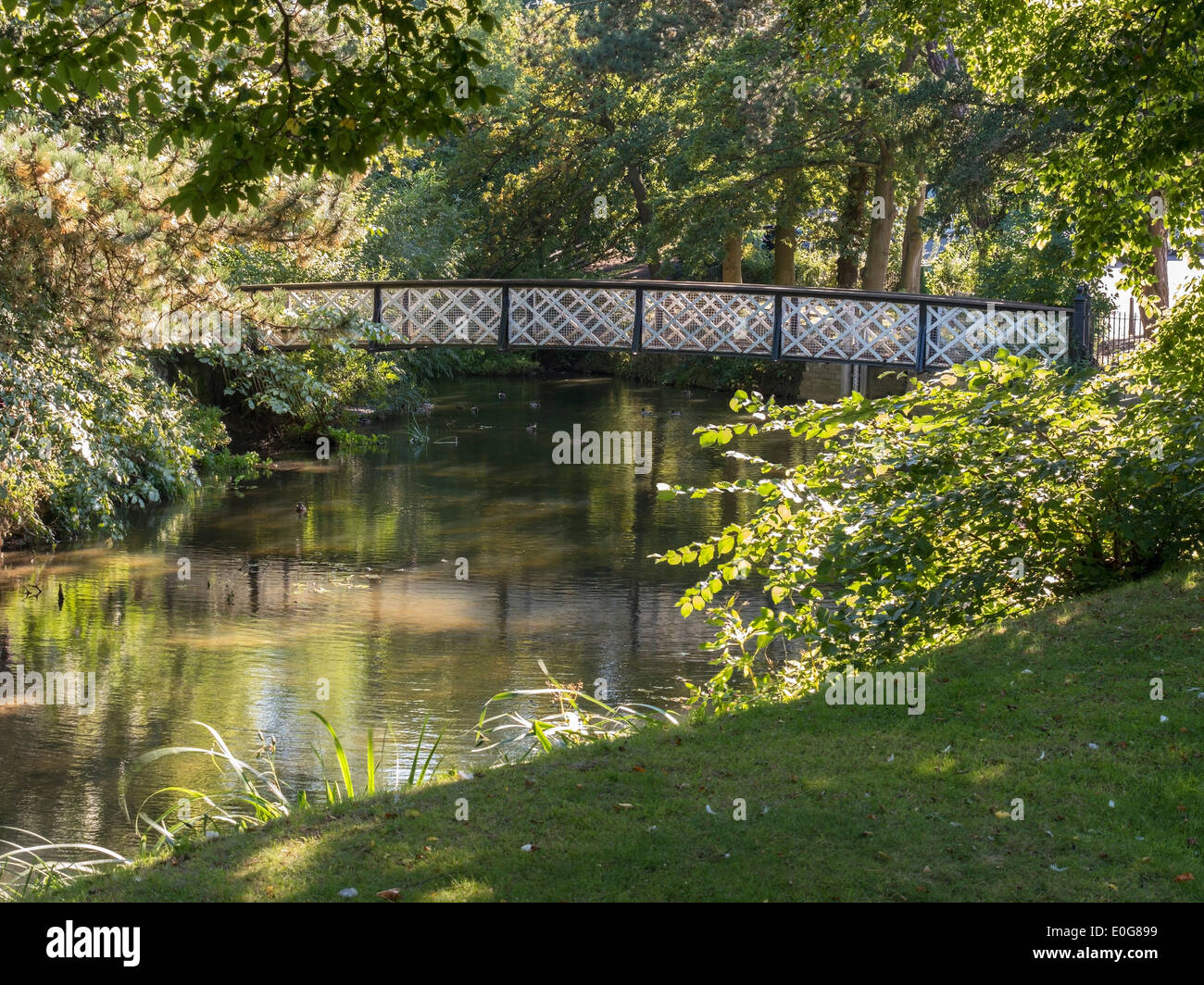 Stählerne Fußgänger Fußgängerbrücke zwischen sonnigen Bäumen über dem Fluss Auge in Melton Mowbray, Leicestershire, England, UK Stockfoto