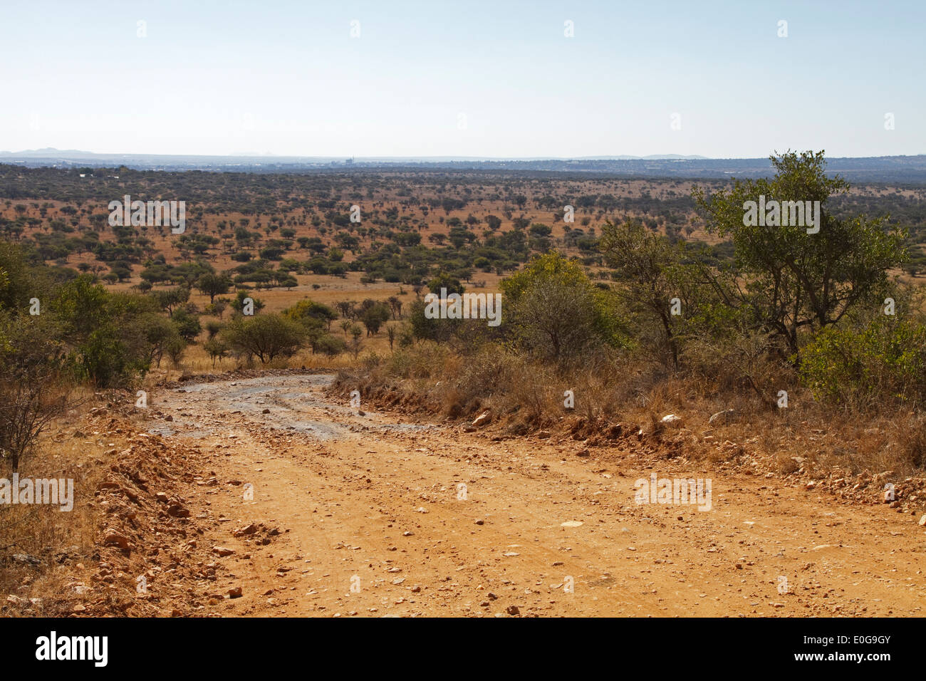 Blick über Polokwane Wildreservat, Limpopo, Südafrika Stockfoto