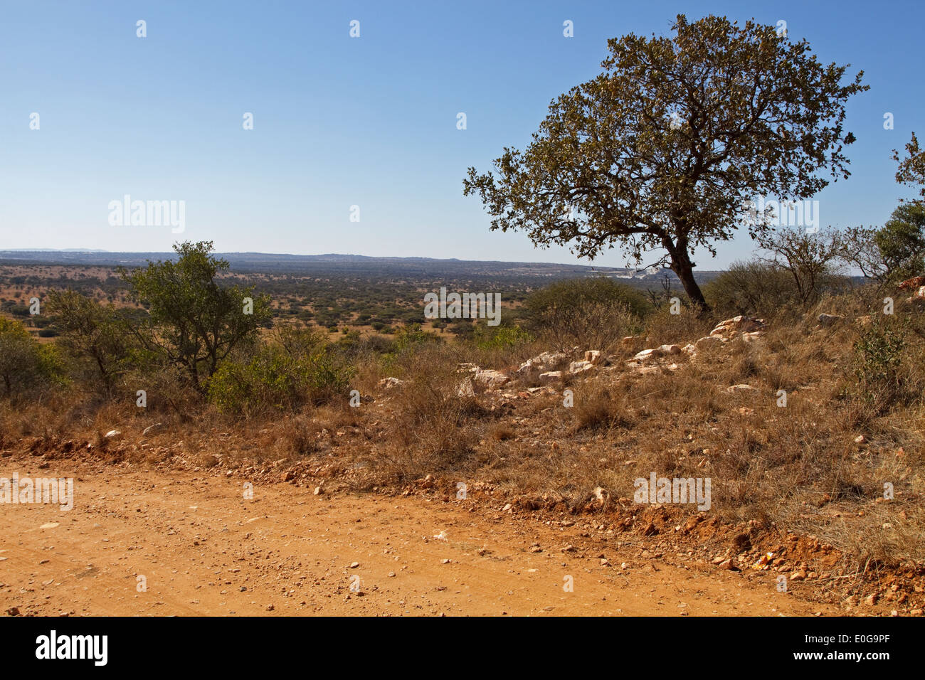 Blick über Polokwane Wildreservat, Limpopo, Südafrika Stockfoto