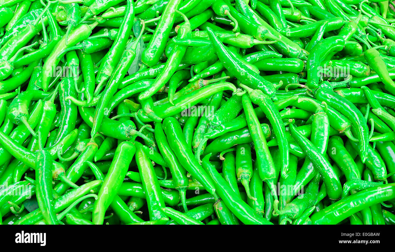 Der Haufen grüner Chili bereiten Sie für den Versand zu verarbeiten, die Chili-Sauce in einer Fabrik. Stockfoto Der Haufen grüner Chili bereiten Sie für den Versand zu verarbeiten, die Chili-Sauce in einer Fabrik. Stockfoto