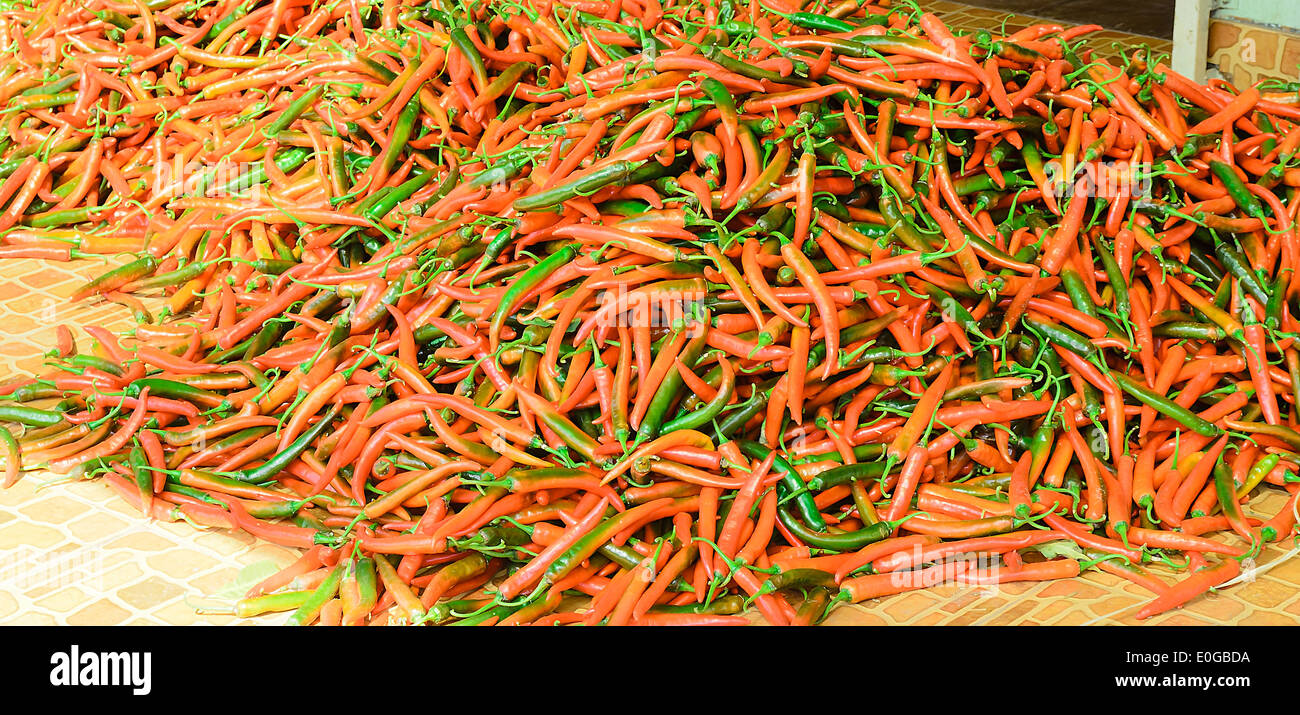 Der Haufen rote Chili bereiten Sie für den Versand zu verarbeiten, die Chili-Sauce in einer Fabrik. Stockfoto Der Haufen rote Chili bereiten Sie für den Versand zu verarbeiten, die Chili-Sauce in einer Fabrik. Stockfoto
