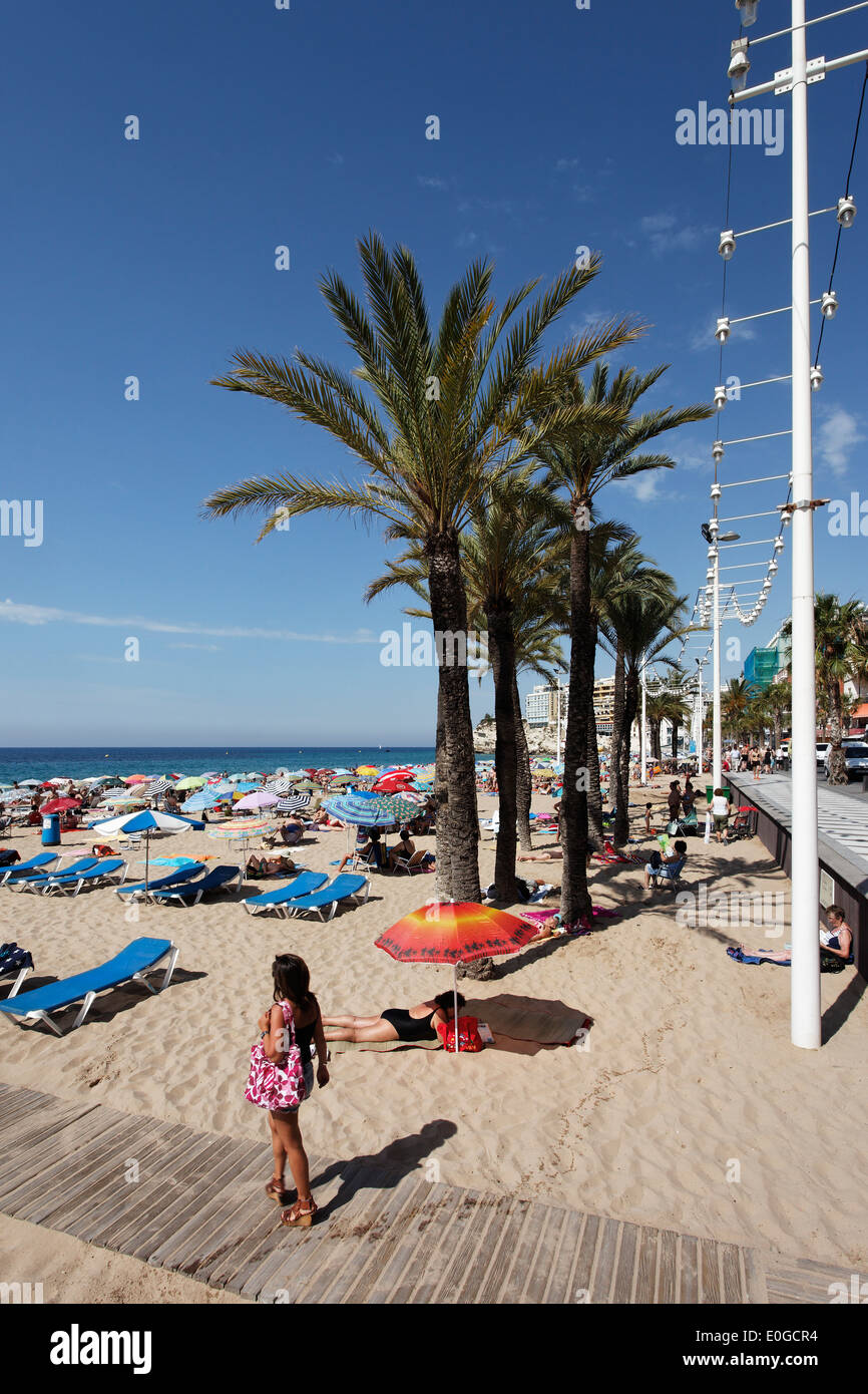 Strandleben, Benidorm, Costa Blanca, Provinz Alicante, Spanien Stockfoto