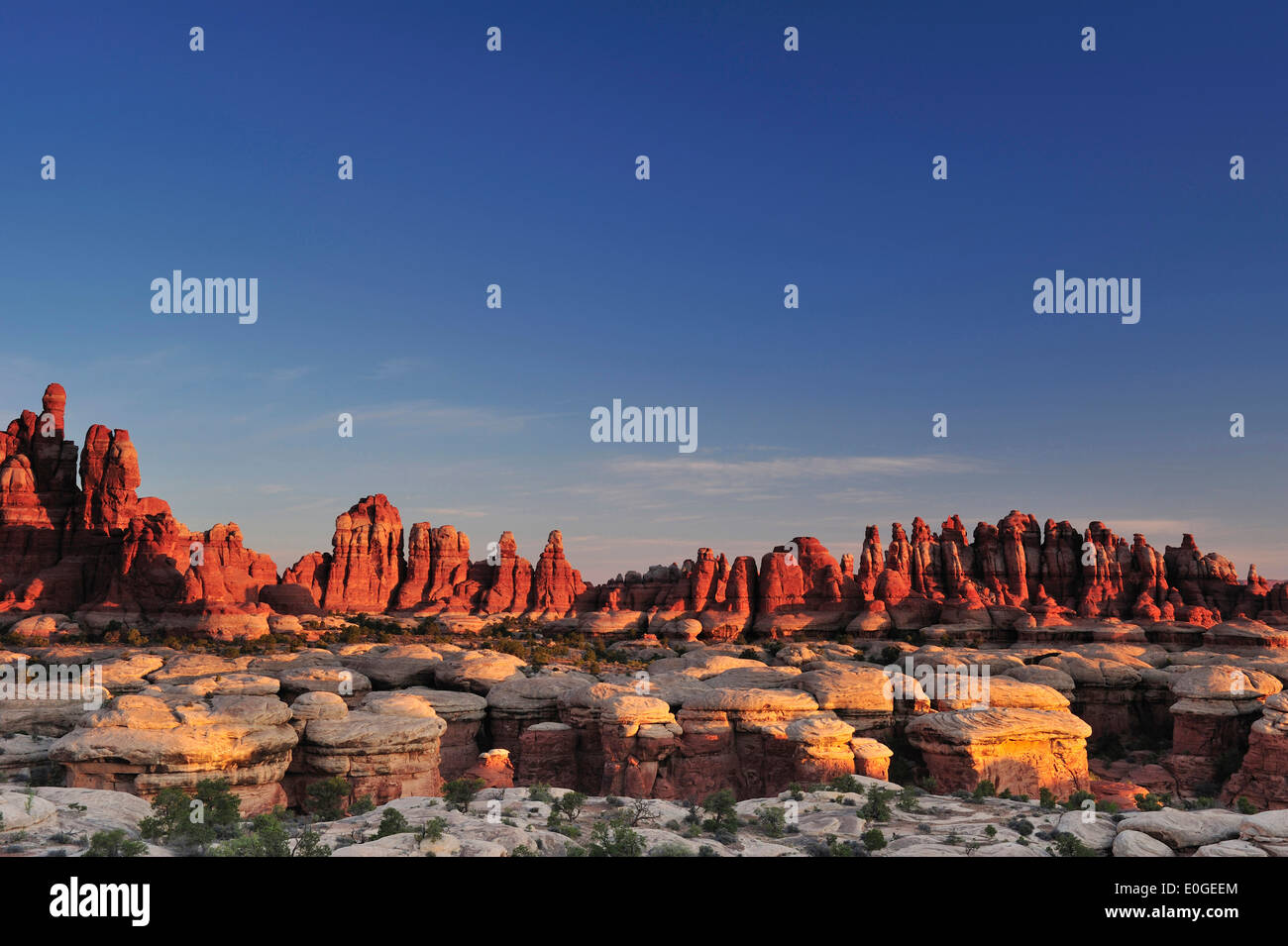 Felsen Türme in Chesler Park, Nadeln Bereich Canyonlands National Park, Moab, Utah, Südwesten, USA, Amerika Stockfoto