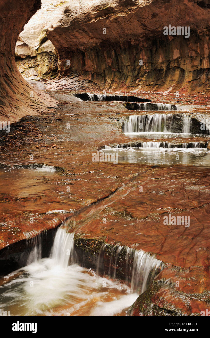 Wasser fließt über Felsstufen, U-Bahn, North Creek, Zion Nationalpark, Utah, Südwesten, USA, Amerika Stockfoto