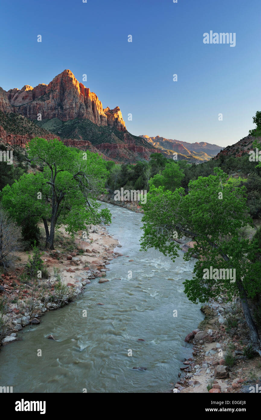 Virgin River und Wächter, Zion Nationalpark, Utah, Südwesten, USA, Amerika Stockfoto
