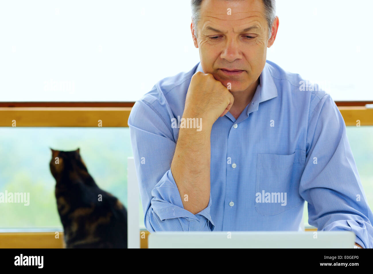 Porträt eines senior kaukasischen Blick auf seinem Laptop zu Hause Stockfoto