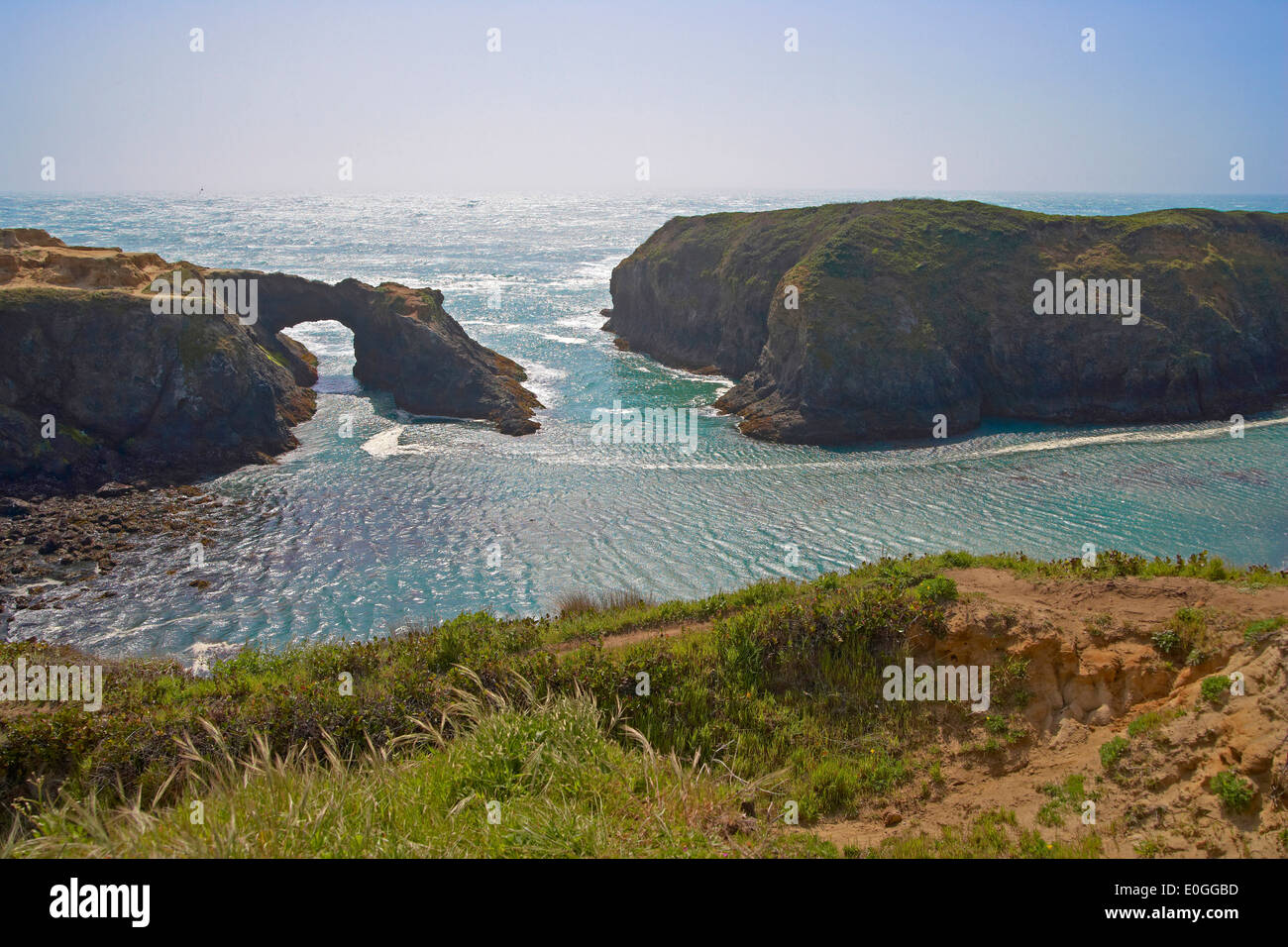 Blick auf Felsbogen an der Küste, Mendocino Landzunge Staatspark, Highway 1, California, USA, Amerika Stockfoto