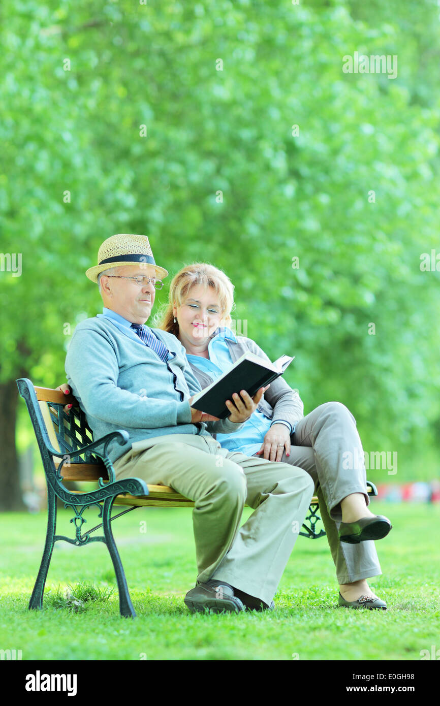 Älteres paar einem Buch sitzend auf Bank im park Stockfoto