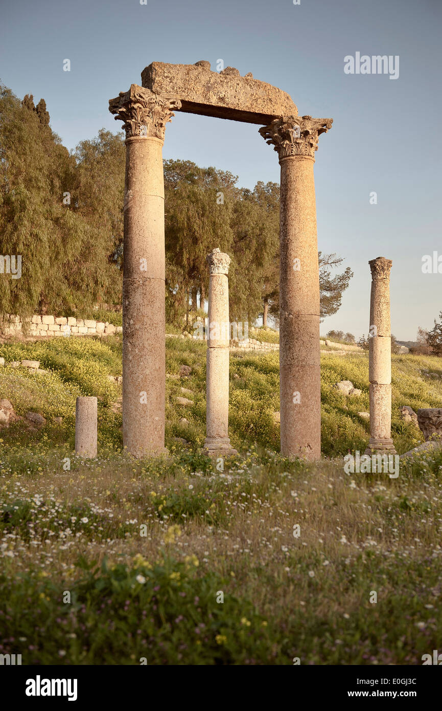 Spalten an archäologischen Ausgrabungen, Jerash, Jordanien, Naher Osten, Asien Stockfoto