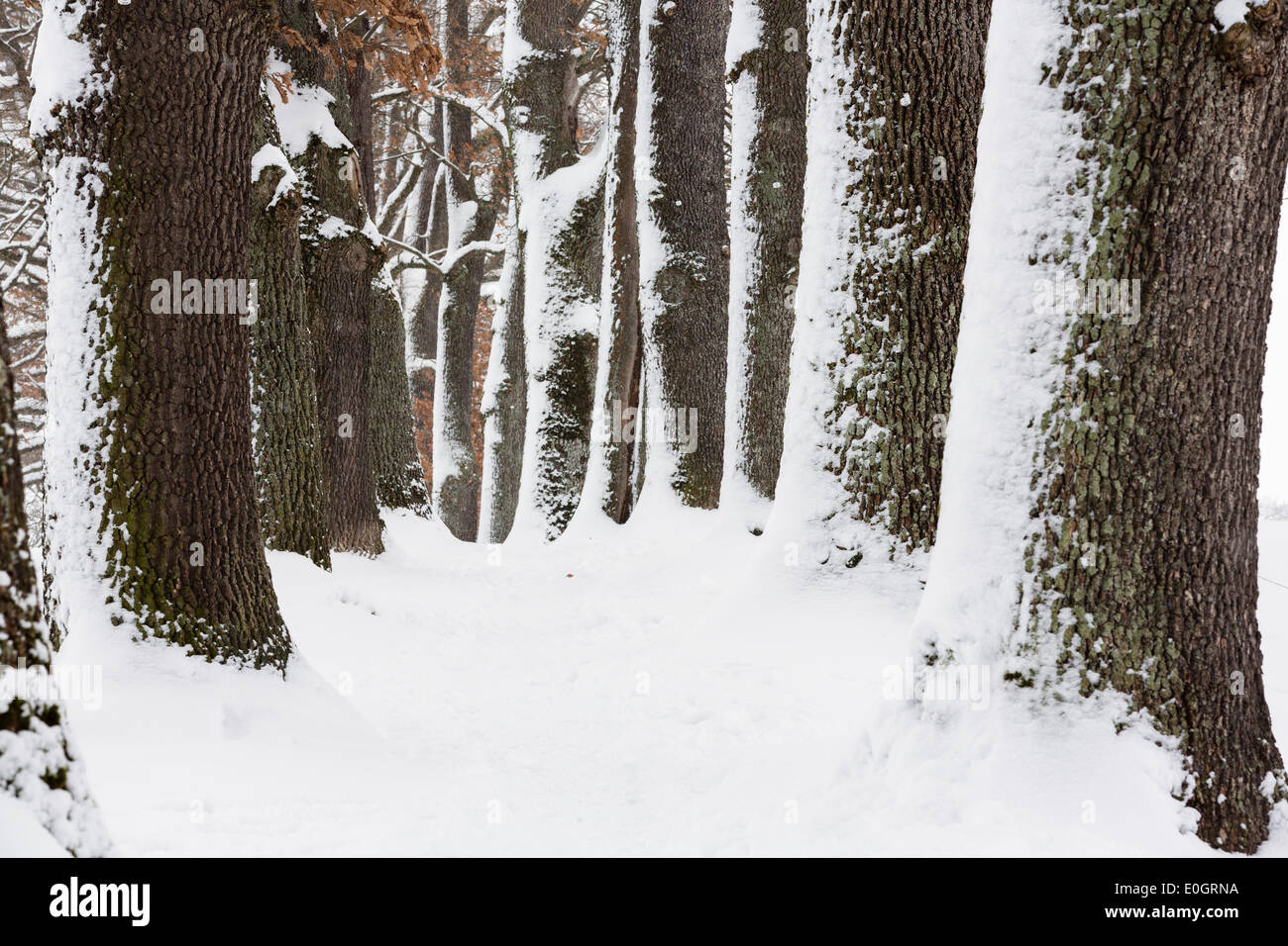 Gasse im Winter, Murnau, Upper Bavaria, Bavaria, Germany Stockfoto