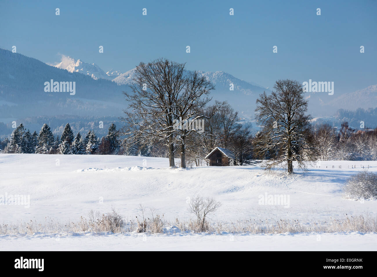 Winterlandschaft in der Nähe von Uffing am Staffelsee See, Bayern, Oberbayern, Alpen, Deutschland Stockfoto