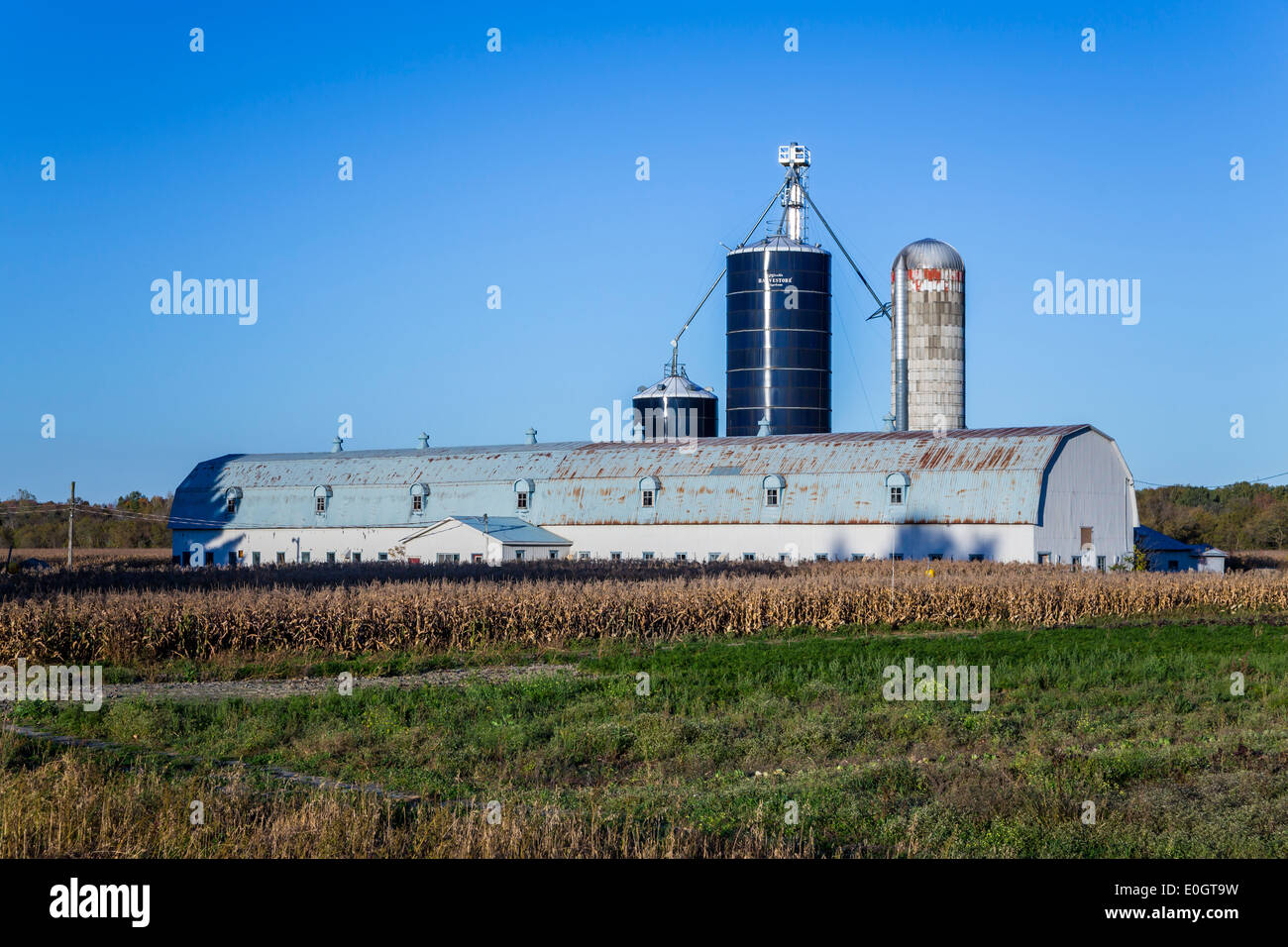 Eine große Scheune in der Nähe der Eastern Townships Dorfes Compton, Quebec, Kanada. Stockfoto