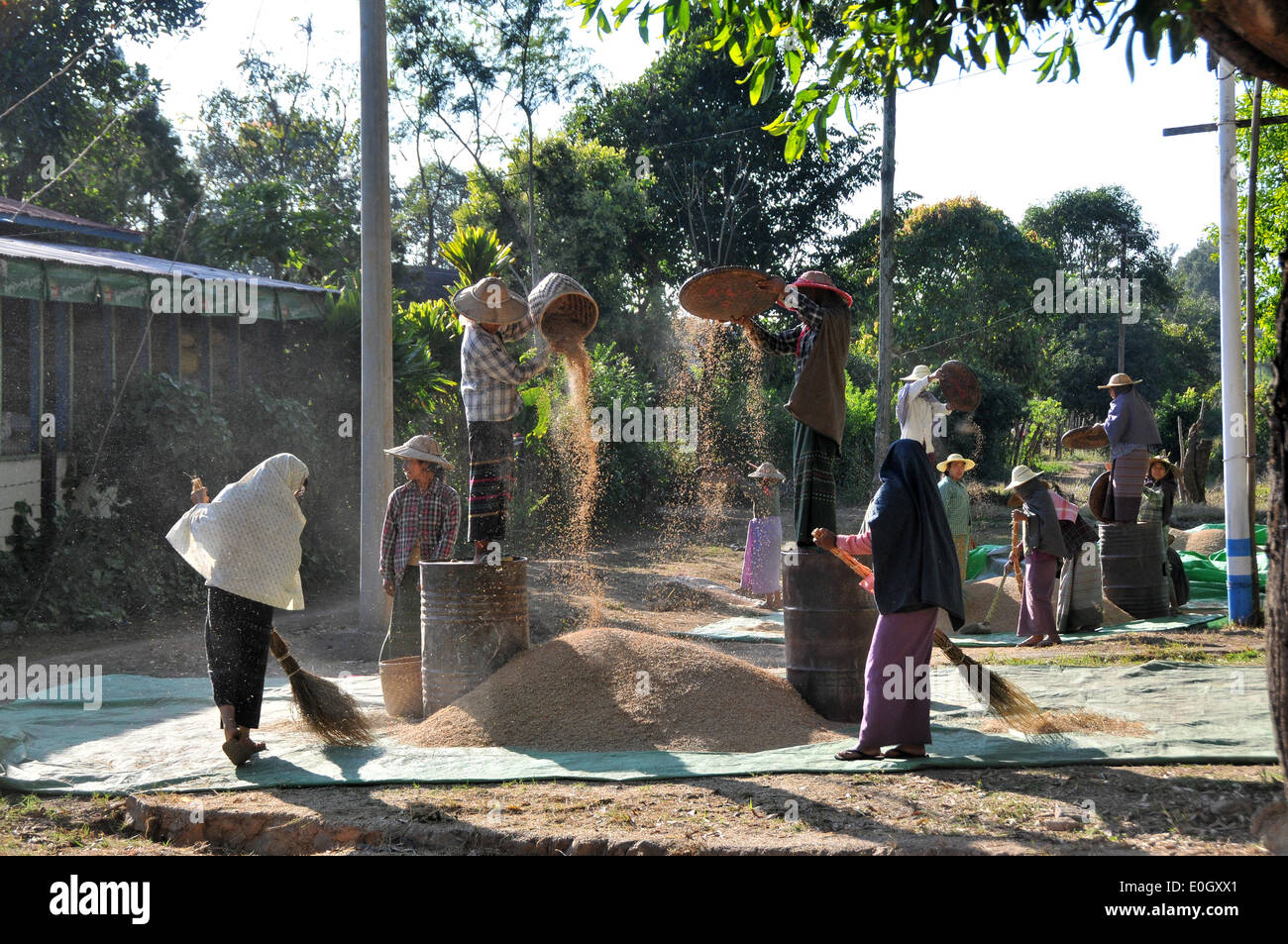 Landwirt in Nyaungshwe am Inle-See, Myanmar, Myanmar, Asien Stockfoto
