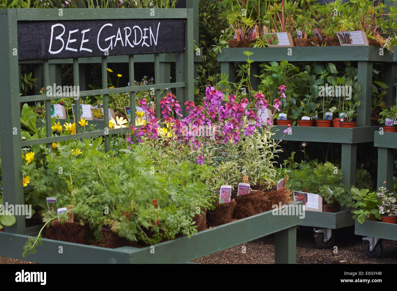 Biene Garten Garten im Zentrum von Osborne House, Isle of Wight, Hampshire Großbritannien im Mai Stockfoto