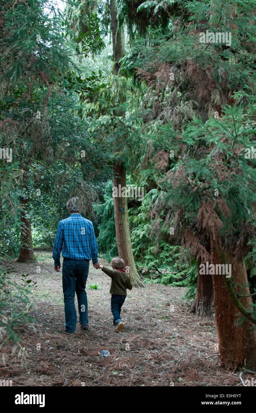 Vater und Sohn gehen gemeinsam in Kew Gardens Stockfoto